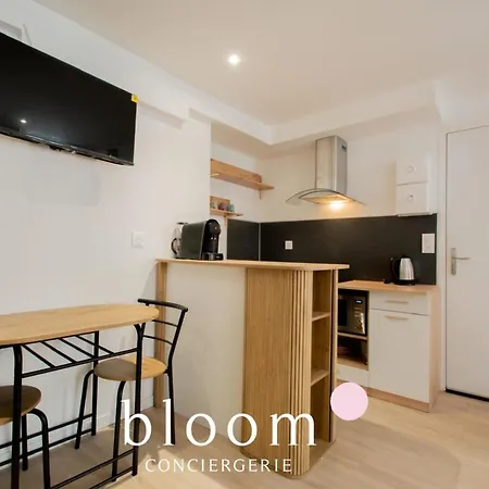 Apartman Hyper Centre Le Des Artistes 3 Nancy