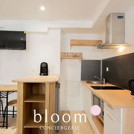Apartman Hyper Centre Le Des Artistes 3 *