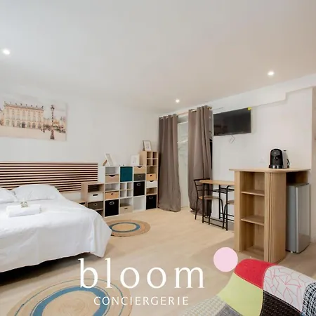 Apartman Hyper Centre Le Des Artistes 3